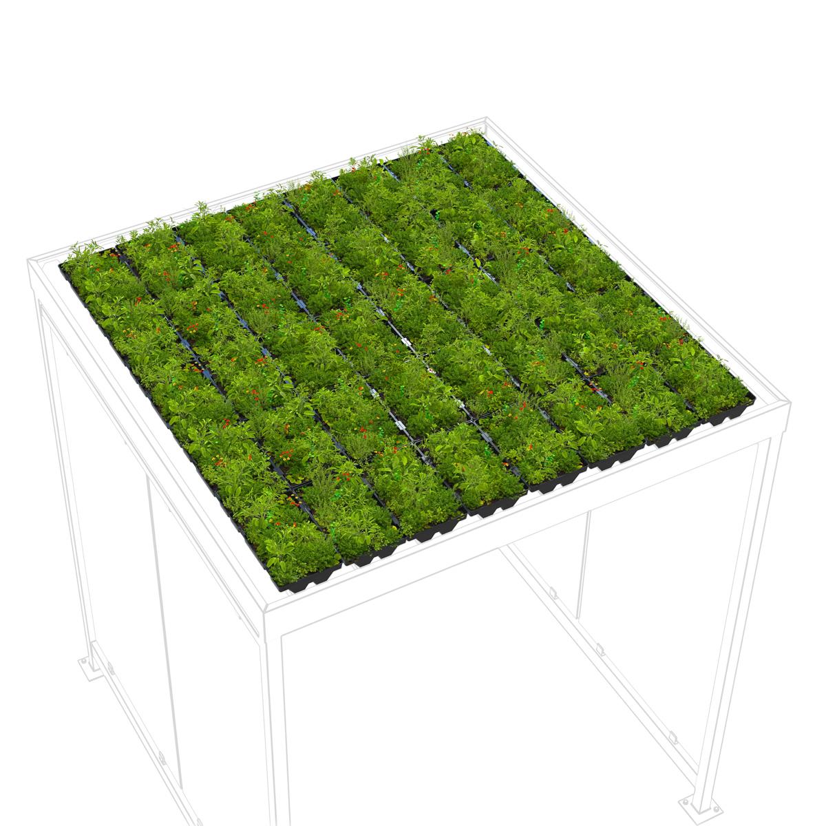 Raucherunterstand Set Black Edition, 2165 x 2165 x 2510 mm, mit Grünbedachung