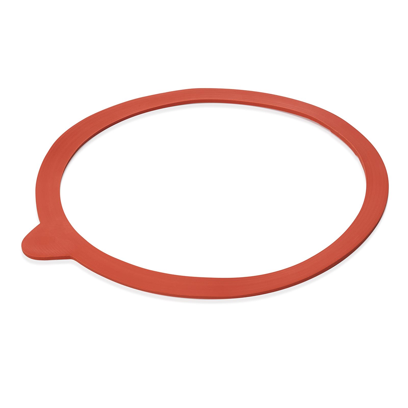 Dichtungsring Set für Weckgläser