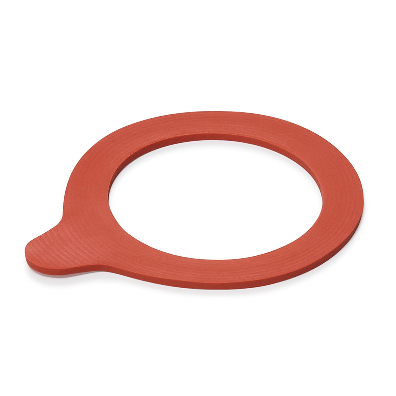 Dichtungsring Set für Weckgläser