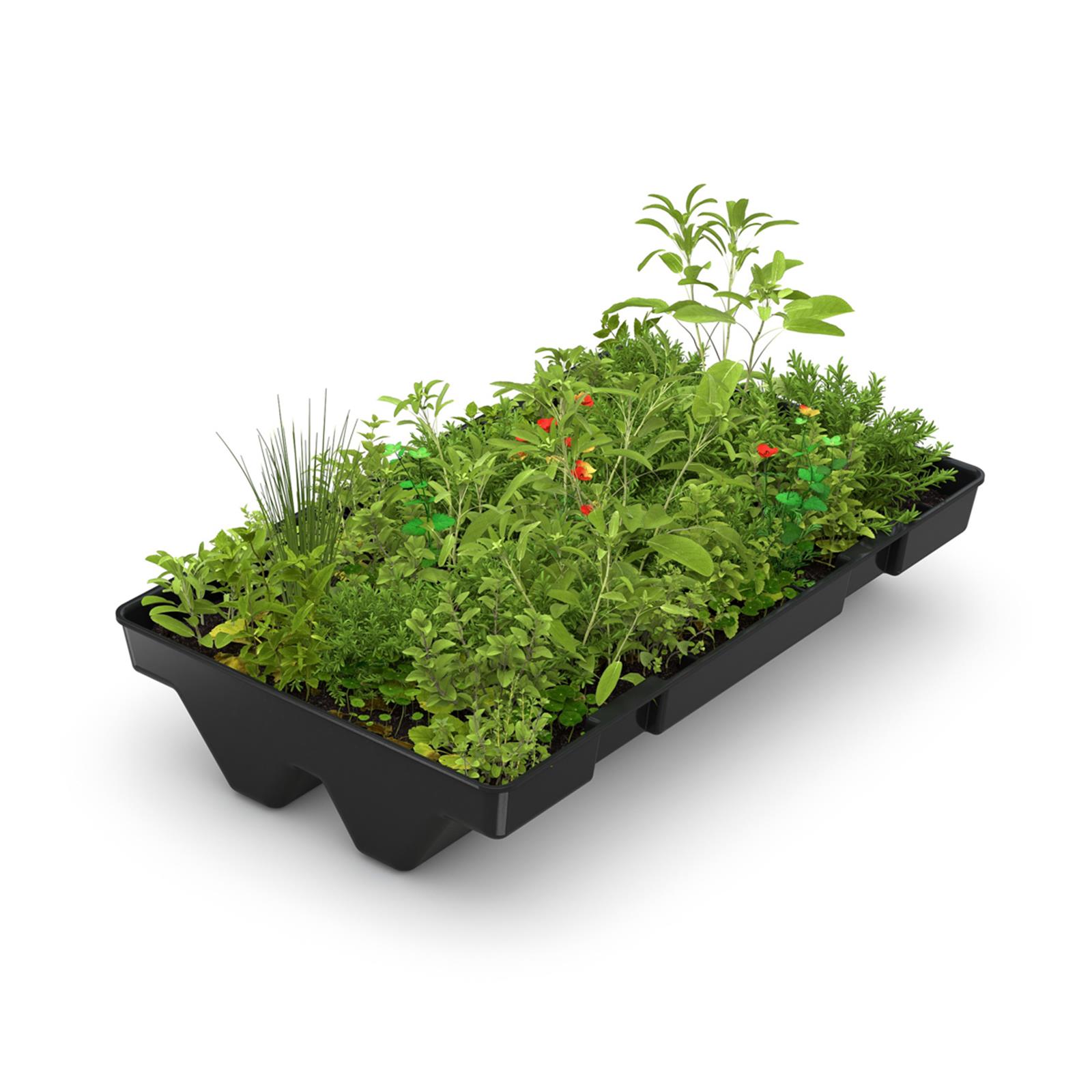 Raucherunterstand Set Black Edition, 2165 x 2165 x 2510 mm, mit Grünbedachung