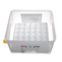 Eier-Box Innenraum