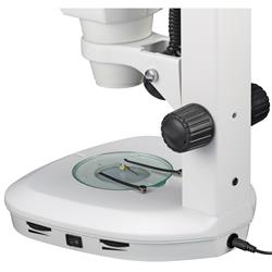 Stereomicroscoop detailfoto