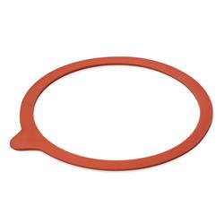 Dichtungsring Set für Weckgläser