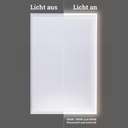 Infrarotheizung mit Licht 800 Watt