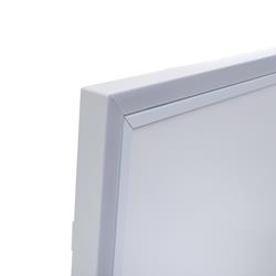 Infrarotheizung mit Licht 800 Watt