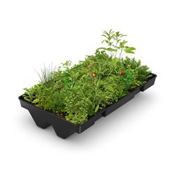 Raucherunterstand Set Black Edition, 2165 x 2165 x 2510 mm, mit Grünbedachung