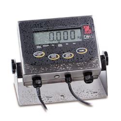 Rollenbaan voor polystar® 981 DSM