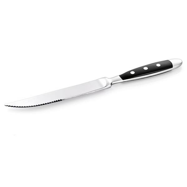 Steakmesser BISTRO, 21,5 cm, 12er Set