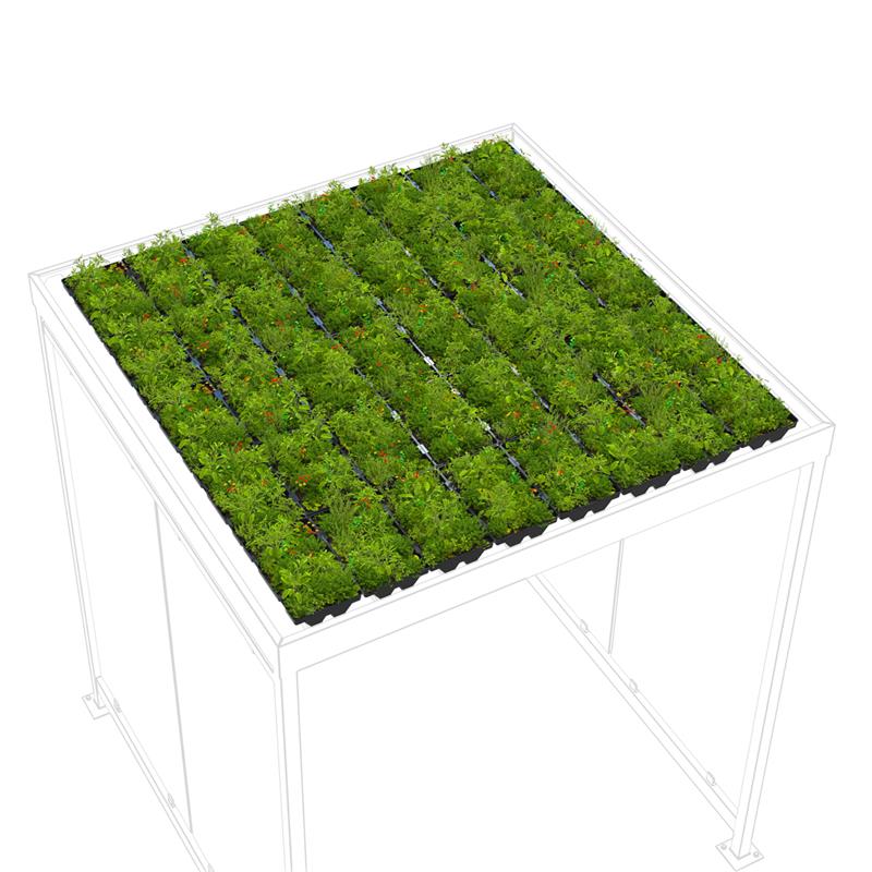 Raucherunterstand Set Black Edition, 2165 x 2165 x 2510 mm, mit Grünbedachung