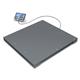 IoT-Line Bodenwaage BFC – 1500 x 1250 mm